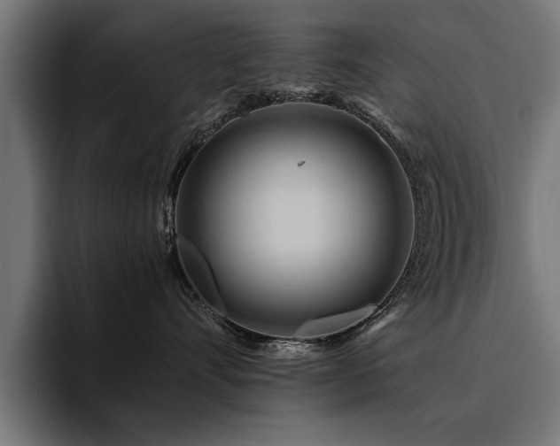 X0000094450528200711081307