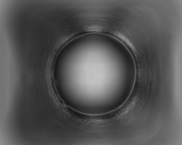 X0000094450529200711081307