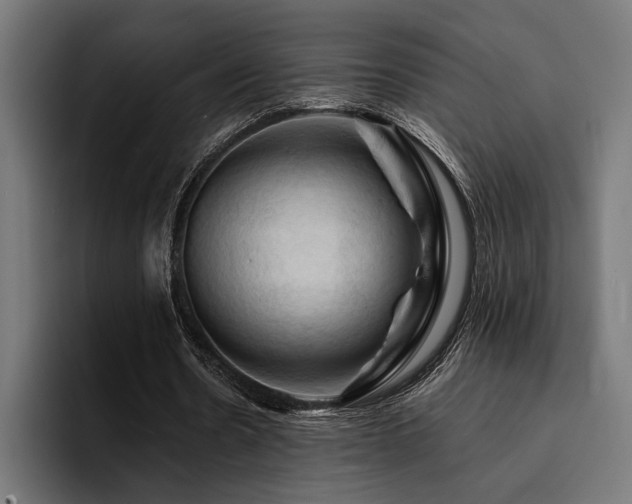 X0000094450530200711081307