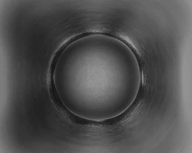 X0000094450531200711081307