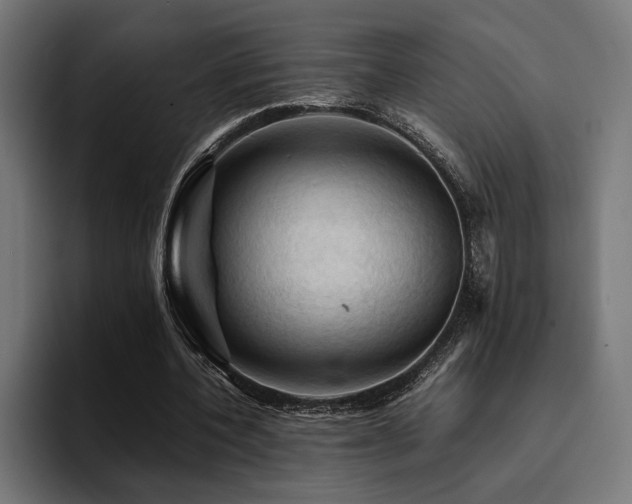 X0000094450532200711081307