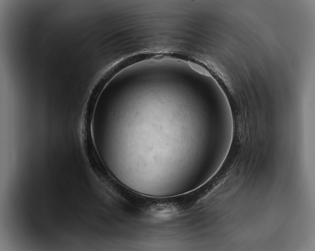 X0000094450536200711081307