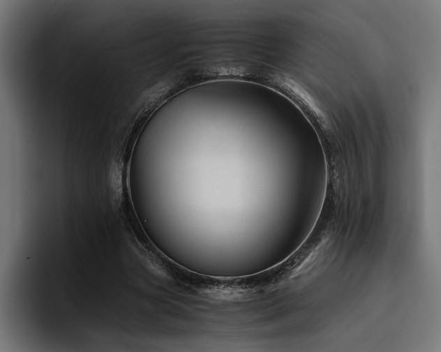X0000094450537200711081307