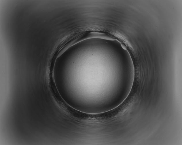 X0000094450538200711081307