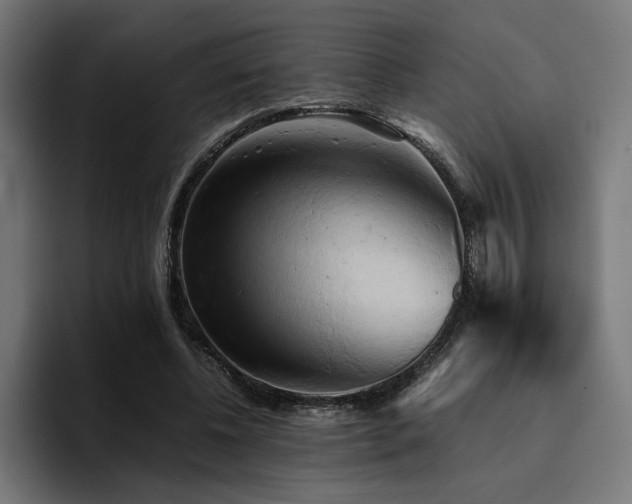 X0000094450540200711081307