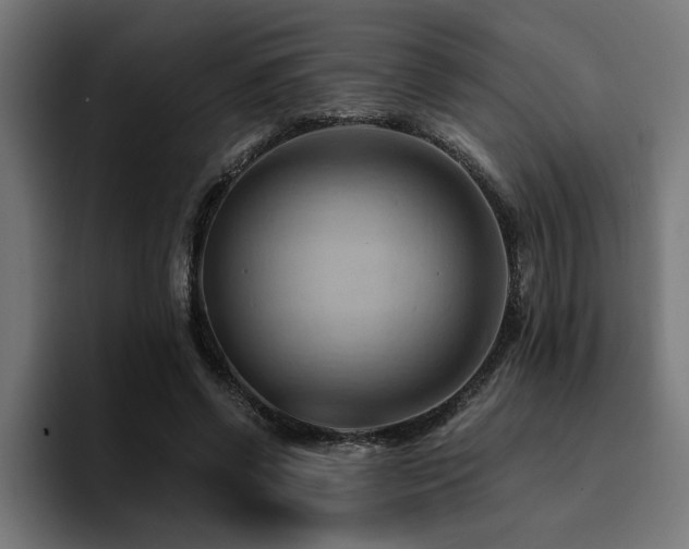 X0000094450542200711081307