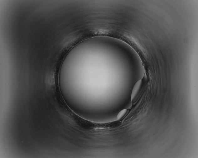 X0000094450543200711081307
