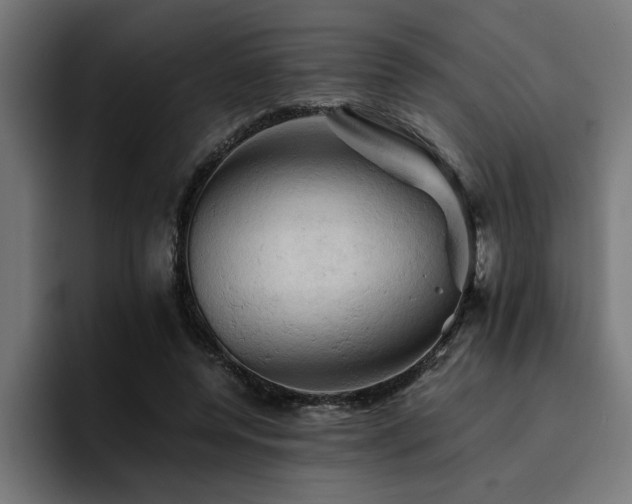 X0000094450544200711081307