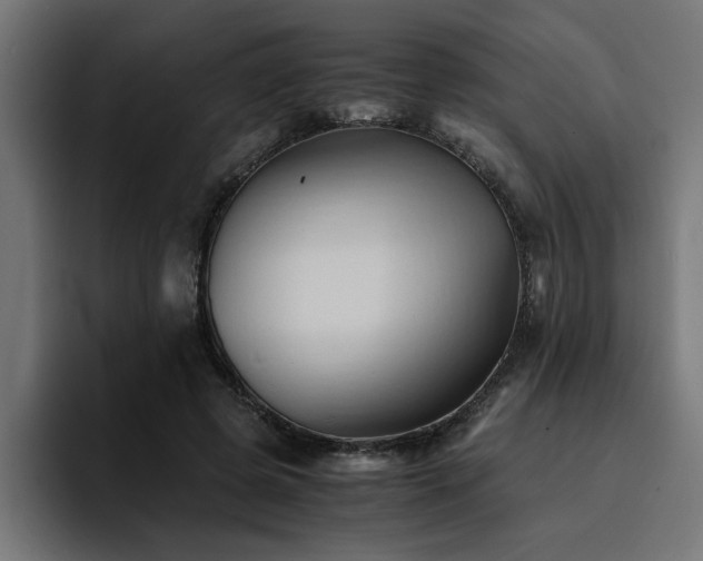 X0000094450545200711081307
