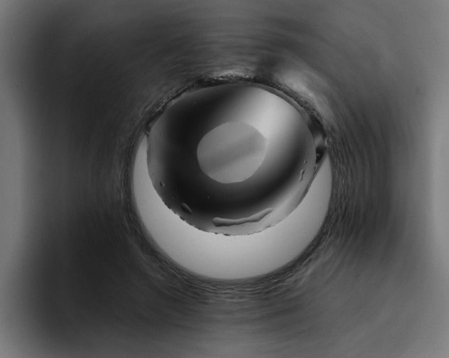 X0000094450546200711081307