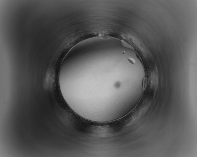 X0000094450548200711081307