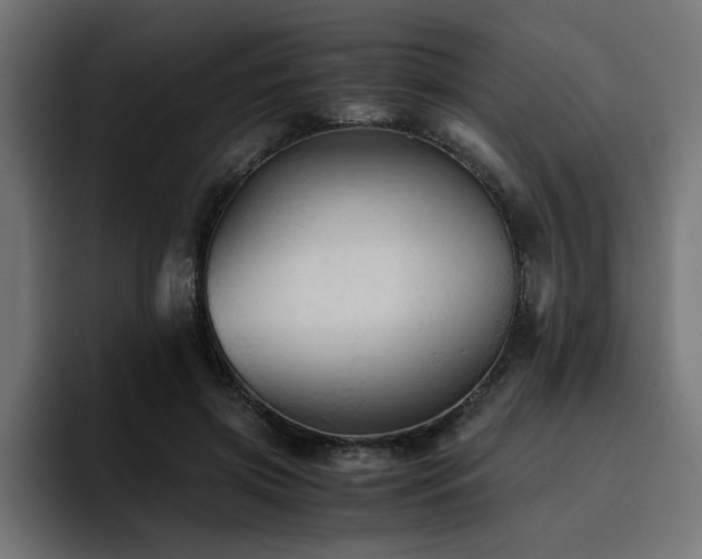 X0000094450549200711081307