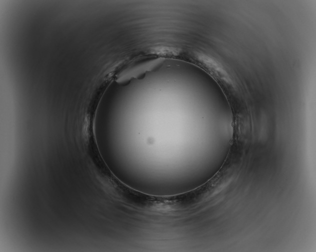 X0000094450550200711081307