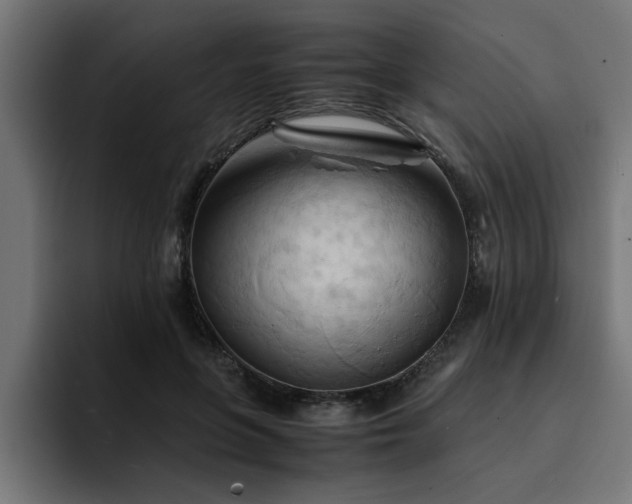 X0000094450551200711081307