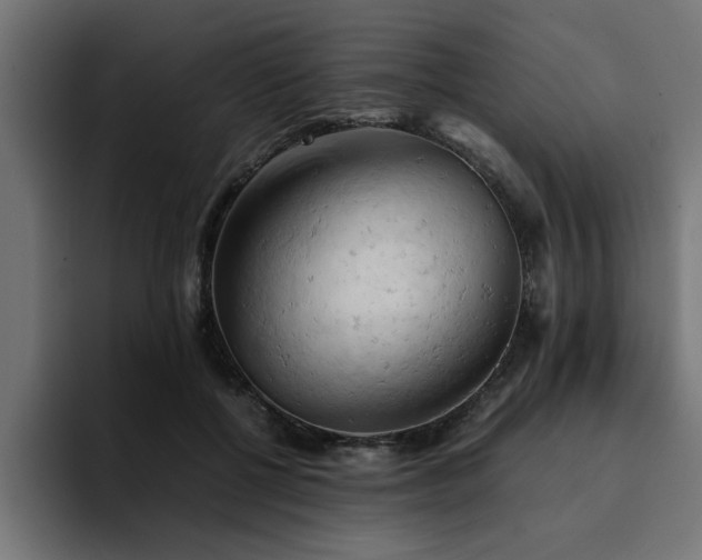 X0000094450552200711081307
