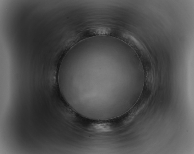 X0000094450553200711081307