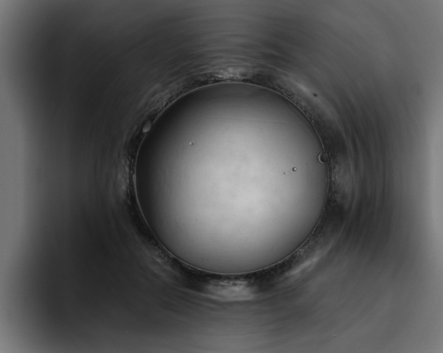 X0000094450554200711081307