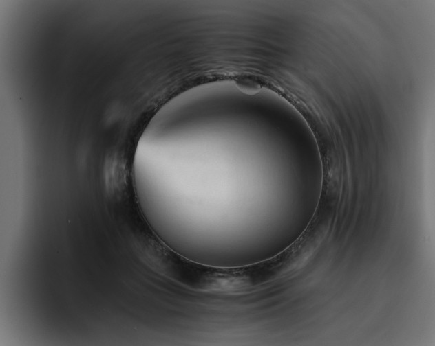 X0000094450555200711081307
