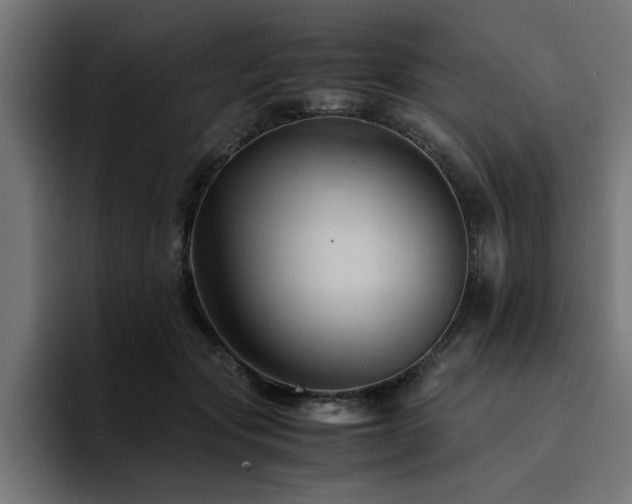 X0000094450557200711081307
