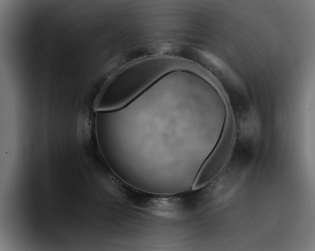 X0000094450558200711081307