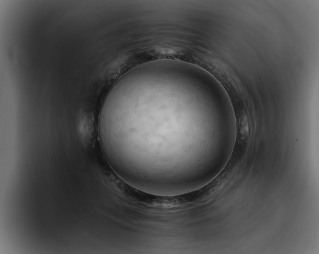 X0000094450559200711081307