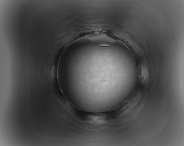 X0000094450563200711081307