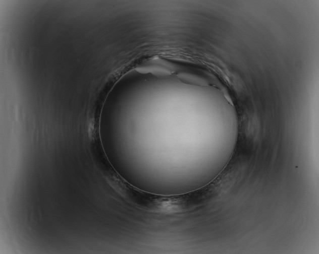 X0000094450564200711081307