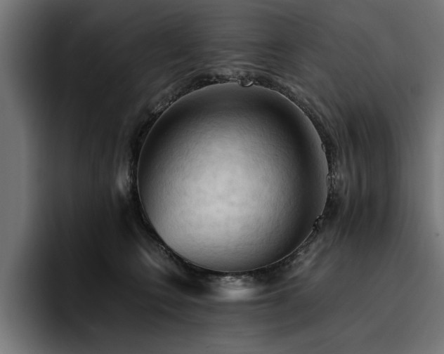 X0000094450566200711081307