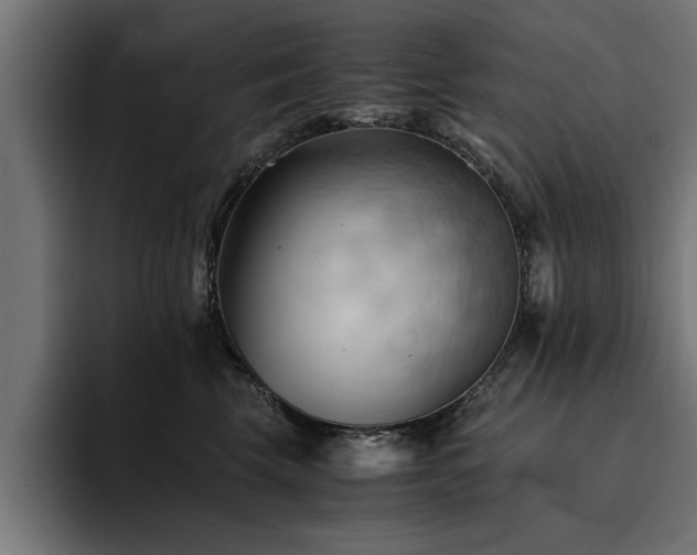 X0000094450569200711081307