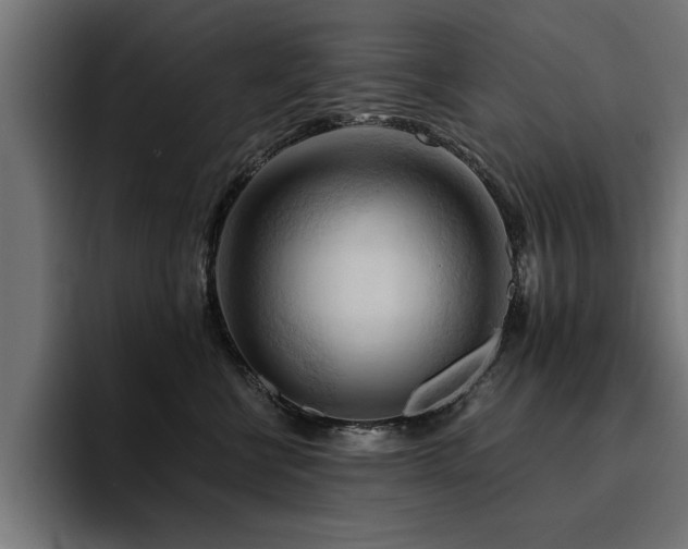 X0000094450570200711081307