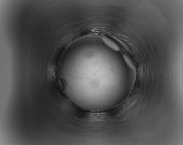 X0000094450571200711081307