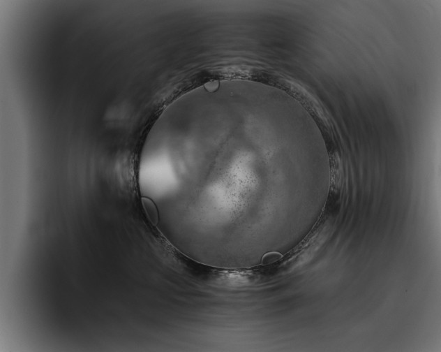 X0000094450573200711081307