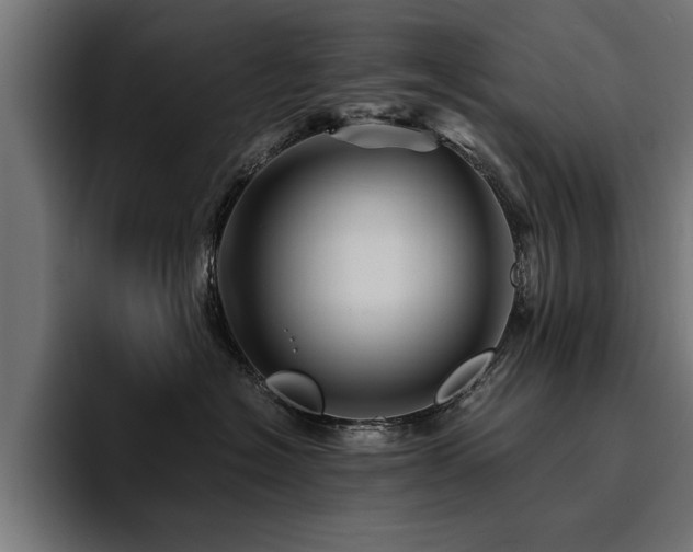 X0000094450574200711081307
