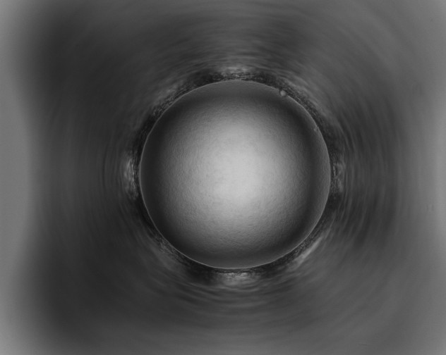 X0000094450575200711081307