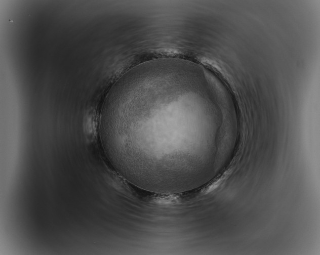 X0000094450576200711081307