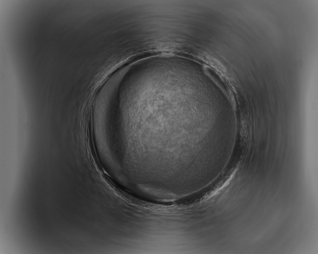 X0000094450577200711081306