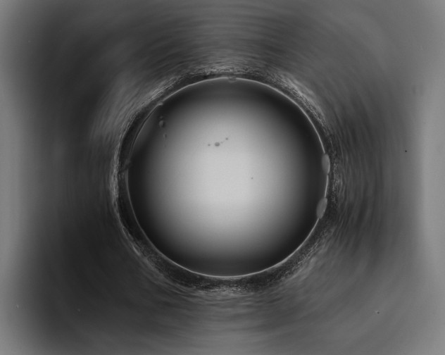 X0000094450578200711081306