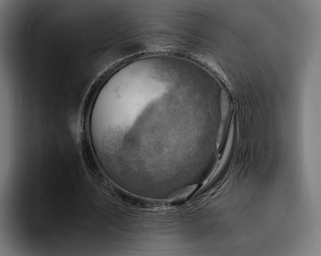 X0000094450579200711081306