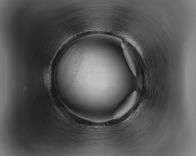 X0000094450580200711081306