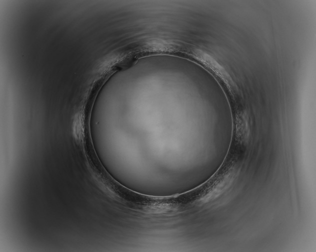 X0000094450581200711081306