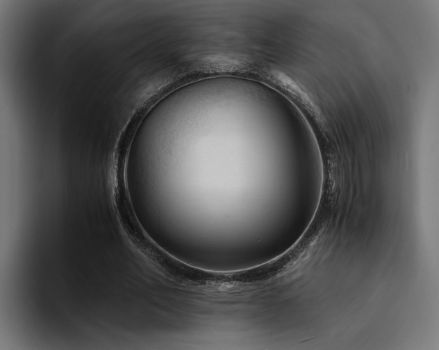 X0000094450582200711081306