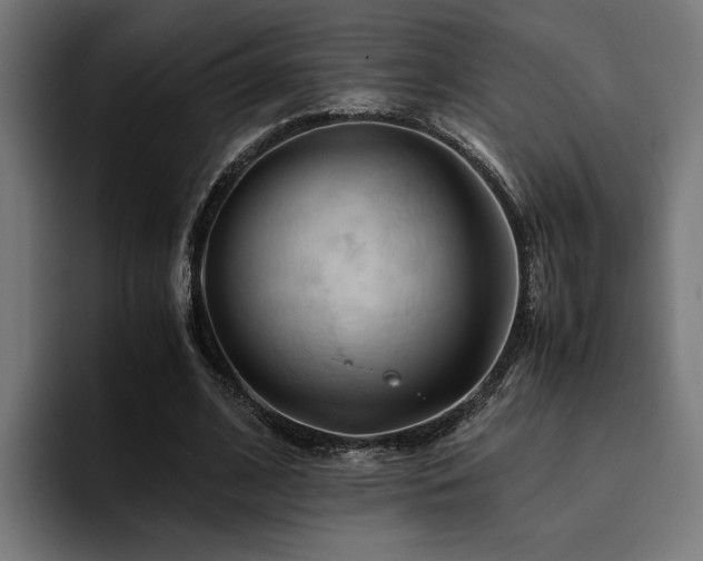 X0000094450584200711081306