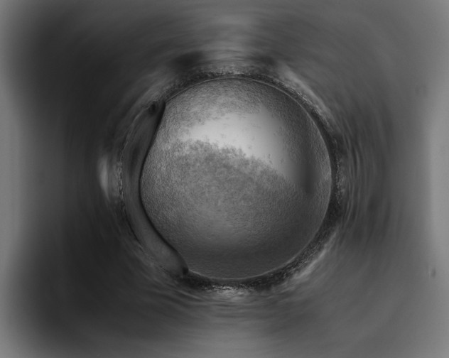 X0000094450585200711081306