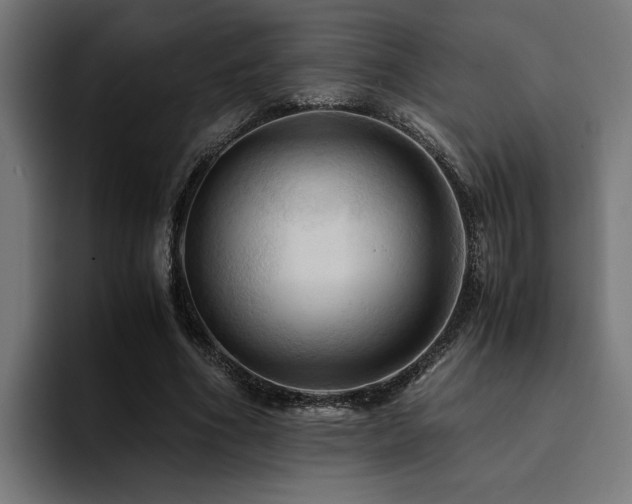 X0000094450586200711081306