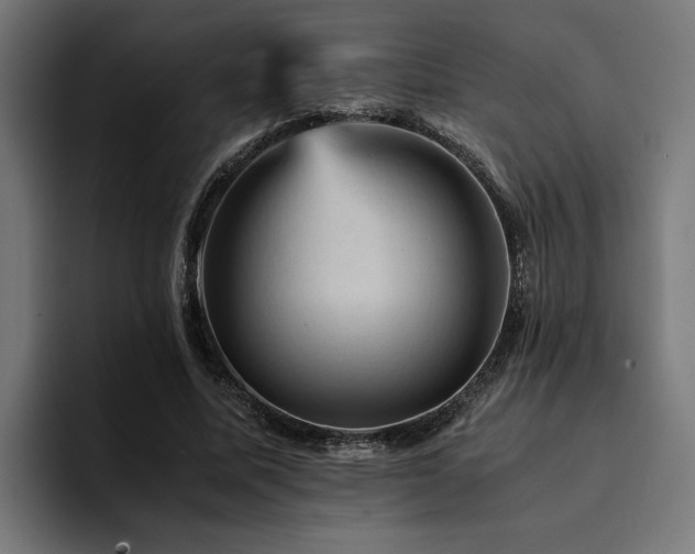 X0000094450587200711081306