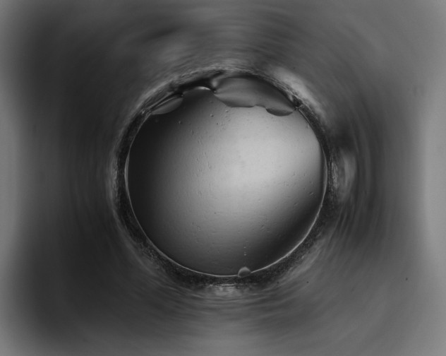 X0000094450588200711081306