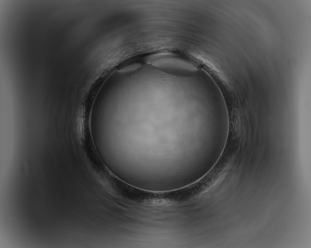 X0000094450590200711081306
