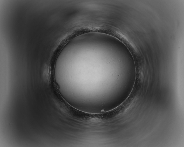X0000094450592200711081306
