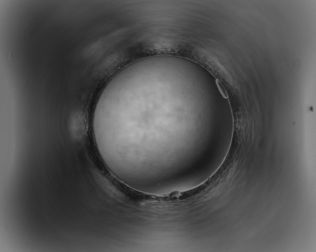 X0000094450593200711081306