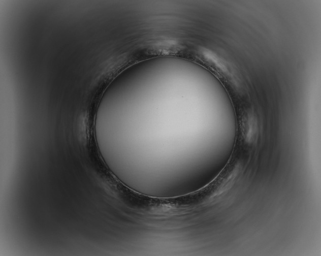 X0000094450594200711081306